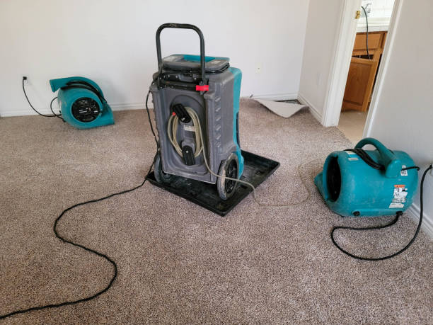 Best Water damage restoration insurance claims  in Forest Park, IL