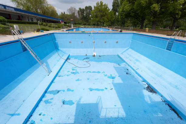 Best Basement water damage restoration  in Forest Park, IL