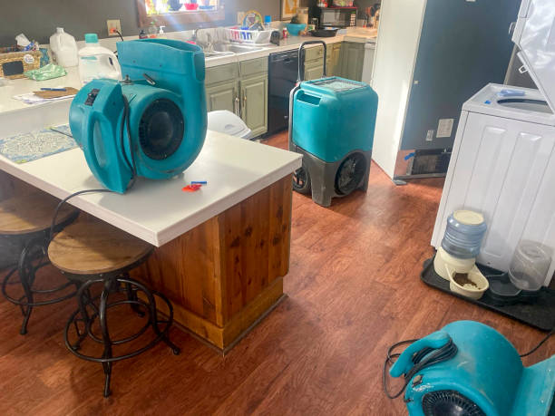 Best Water damage restoration near me  in Forest Park, IL