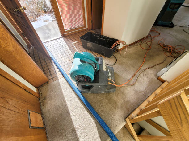 Best Emergency water damage restoration  in Forest Park, IL