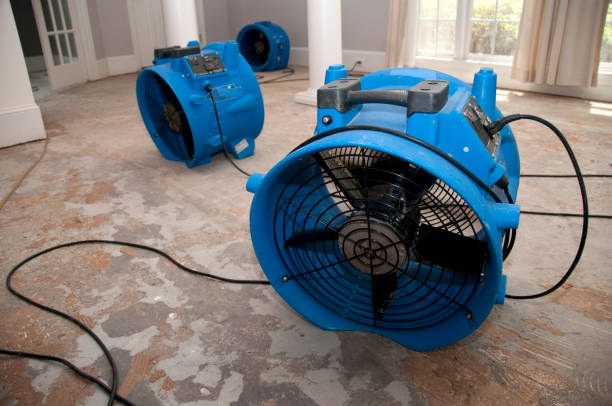 Best Water damage restoration near me  in Forest Park, IL