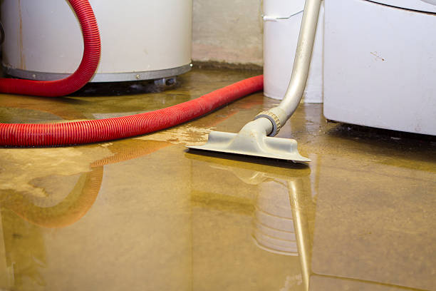 Carpet water damage restoration in IL