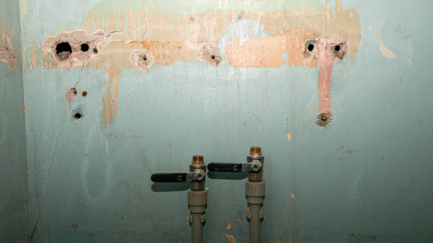 Best Carpet water damage restoration  in Forest Park, IL