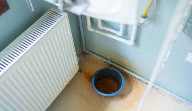 Best Local water damage restoration  in Forest Park, IL